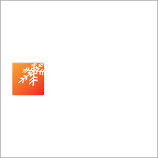 trecan snow melters logo